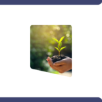 تراخيص المنتجات الريفية الريادية