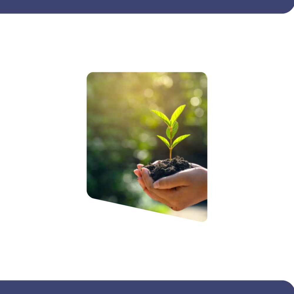 006aae66-908e-4c9b-acc6-e47d50a44b6b-1000x1000-K4xZjtQ0LwdMlRa5x2SJkAl1eKoxG3P2YsLuLSHg تراخيص المنتجات الريفية الريادية - الصورة 1